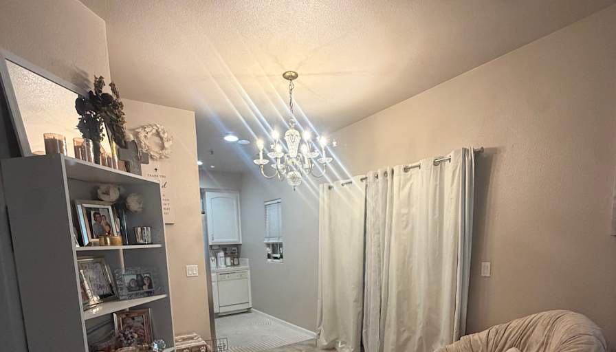Lucy's room