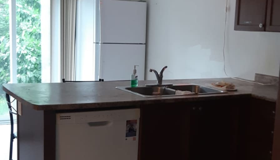 Shaheen's room