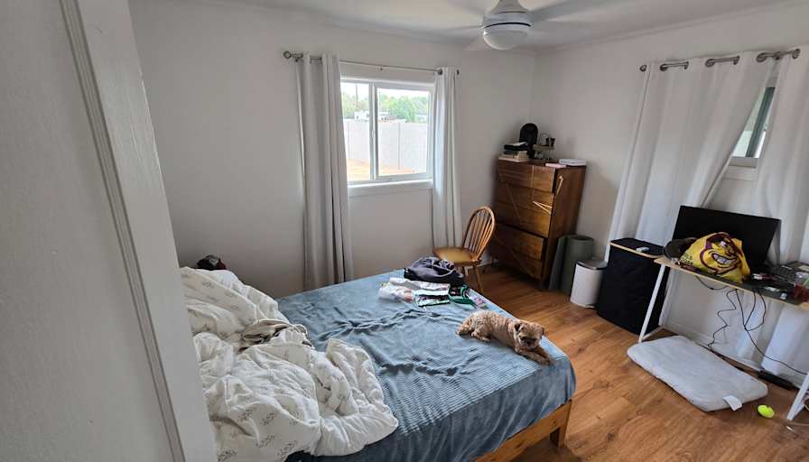 Luis's room