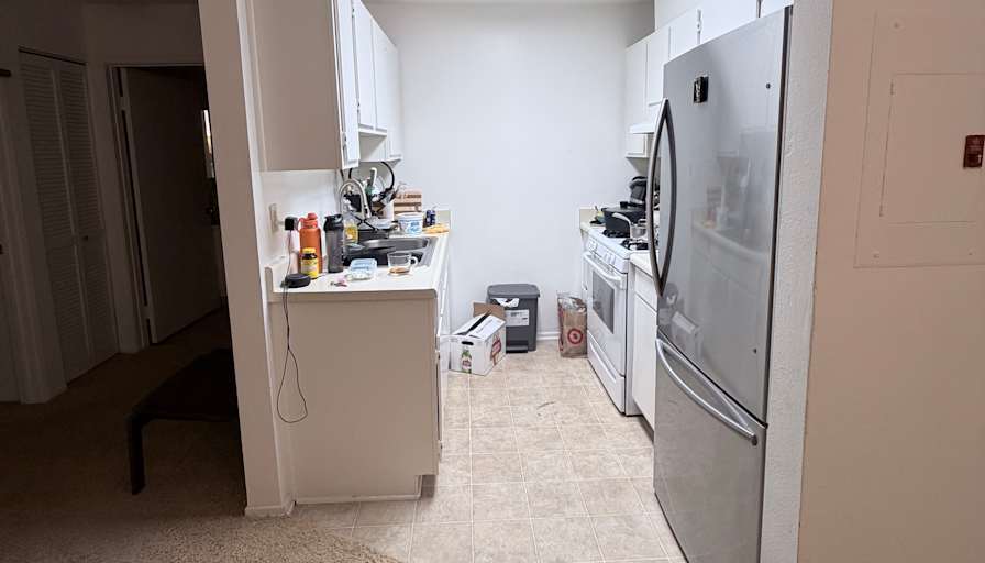 Masoud's room