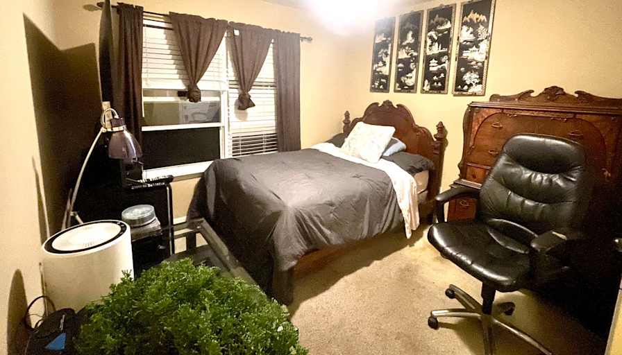 Ann's room