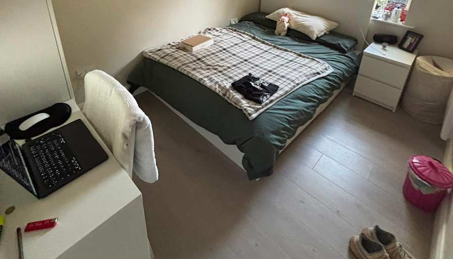 Javier Fraile Fernandez's room