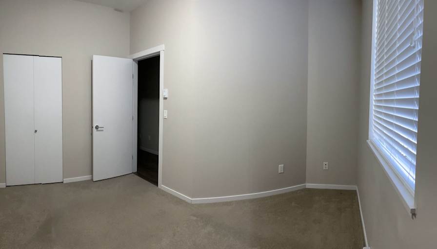 Zezen's room