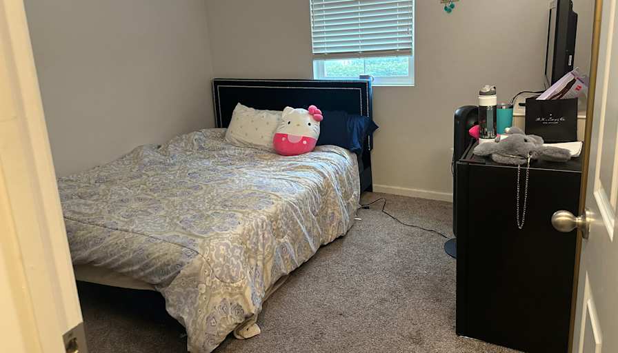 Sahar Sina's room