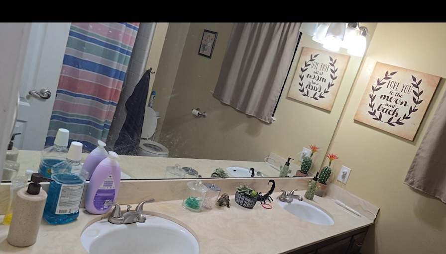 Michelle Alarcon Crespo's room