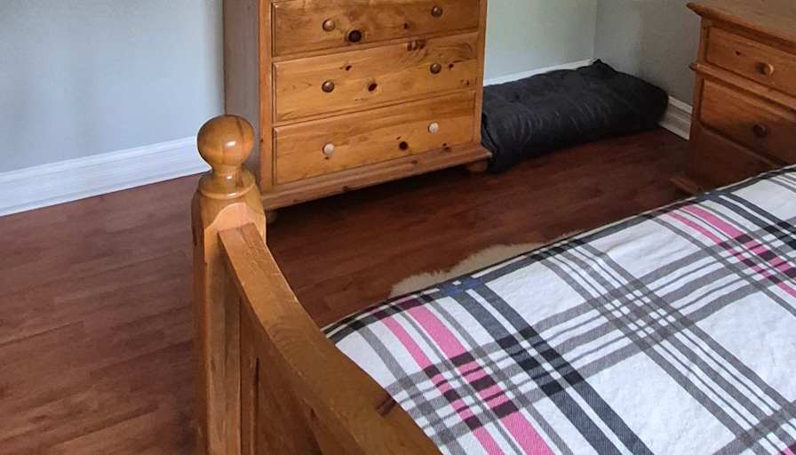 Stewart's room