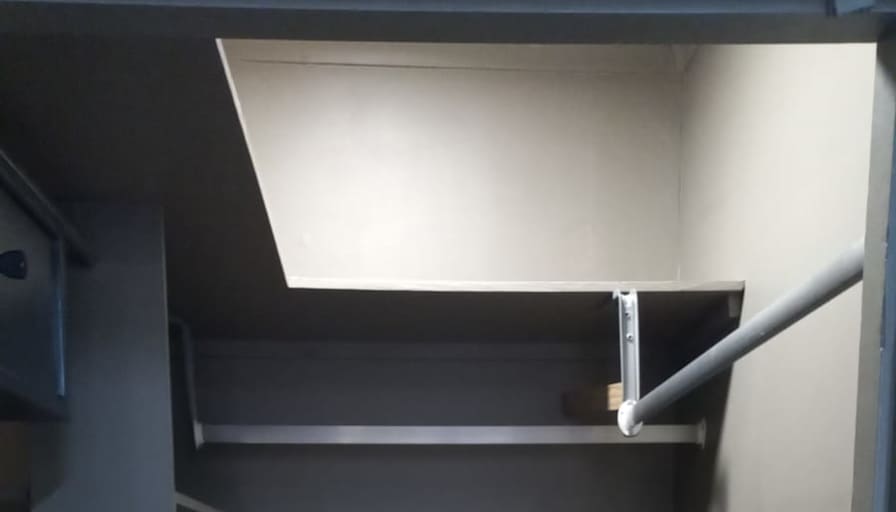 Willows on Bartlett's room