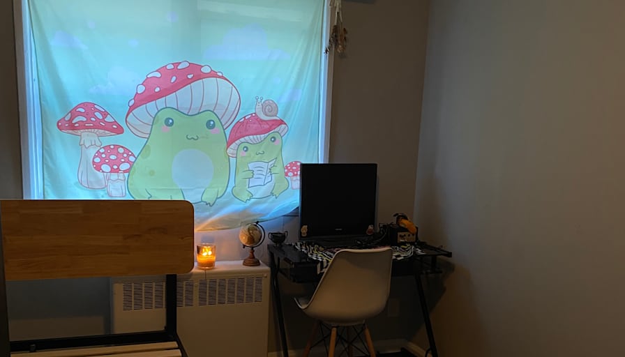 Nova's room