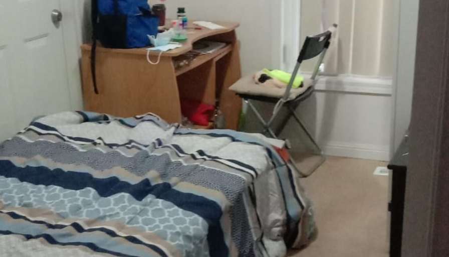 Shaheen's room
