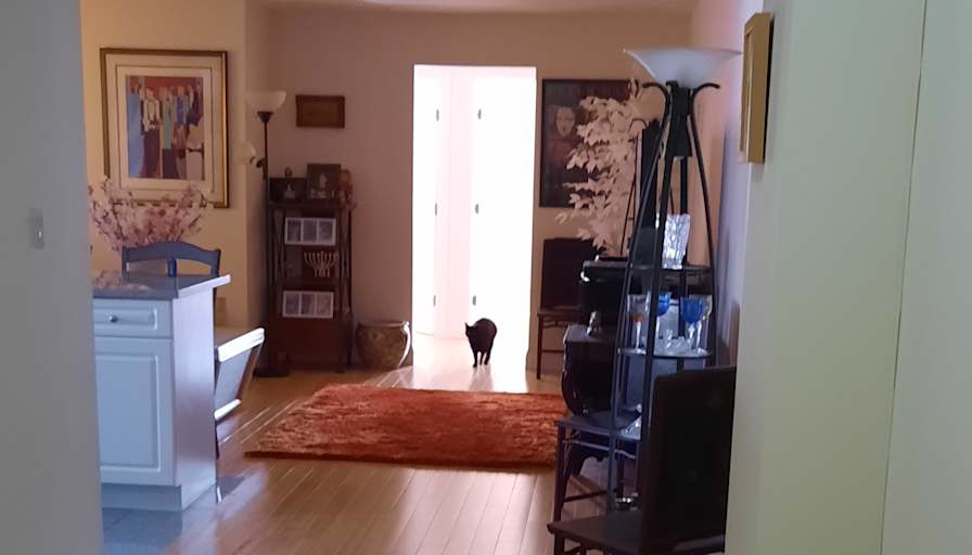 Gregory's room