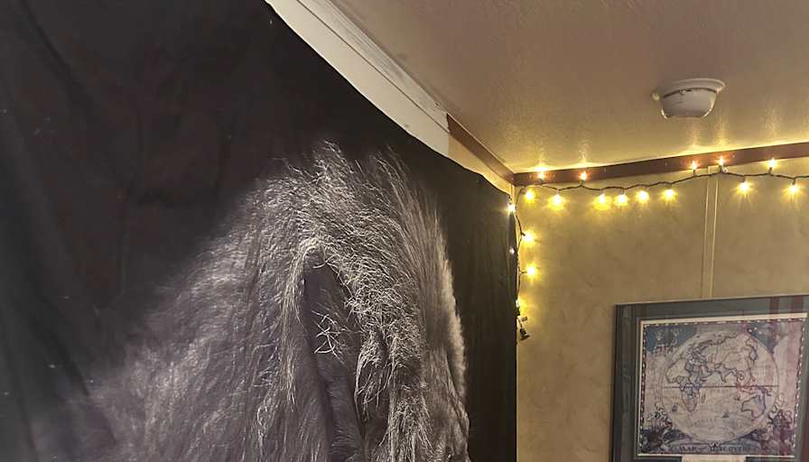 Rena's room