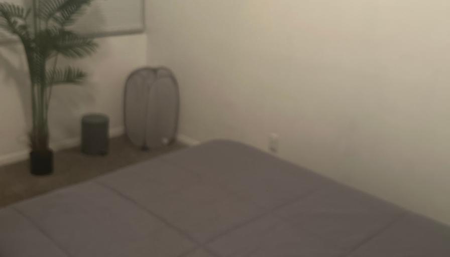 Sonja Jenkins's room