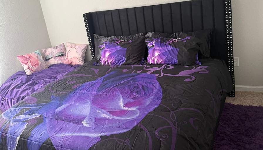 Aallisha's room