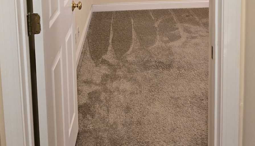 Corey's room
