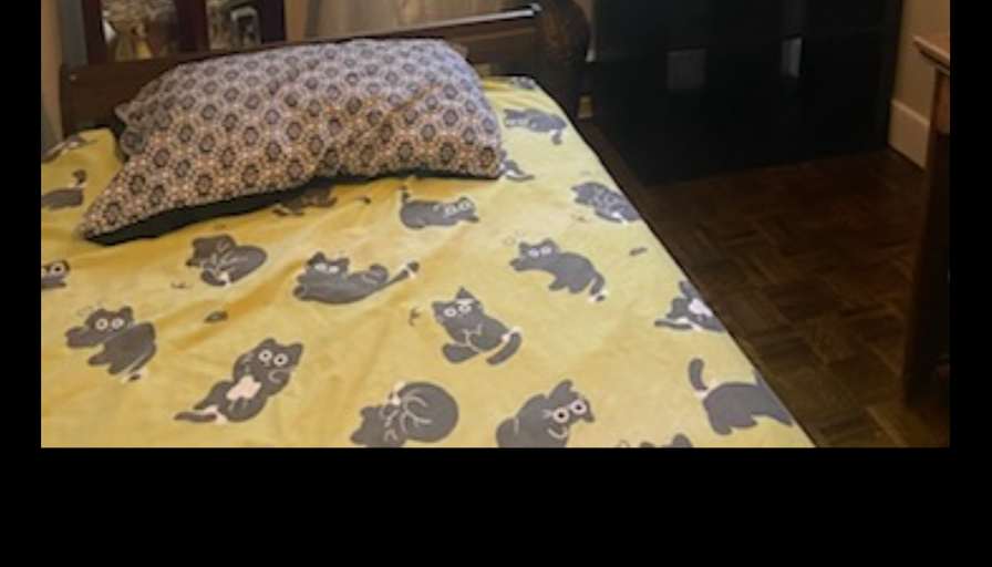 Mike and kim's room
