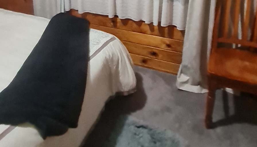 Shirley's room