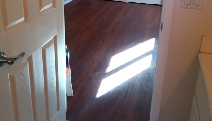 Megan's room