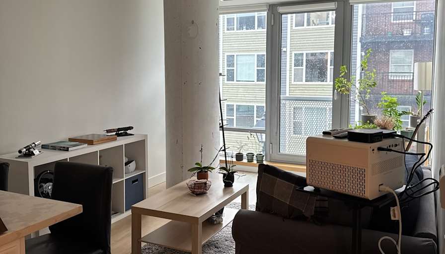 Kieran D Muller's room