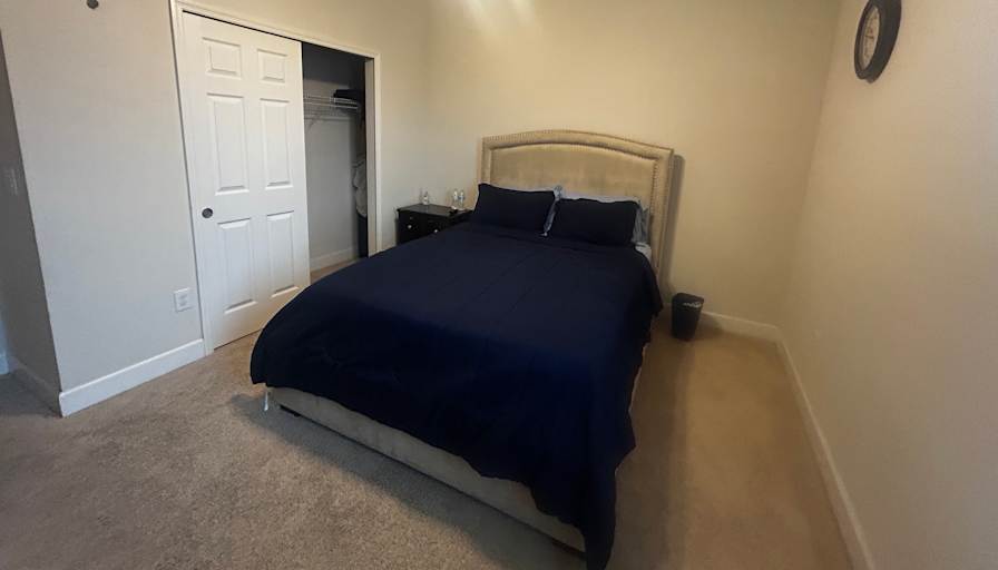Tash's room