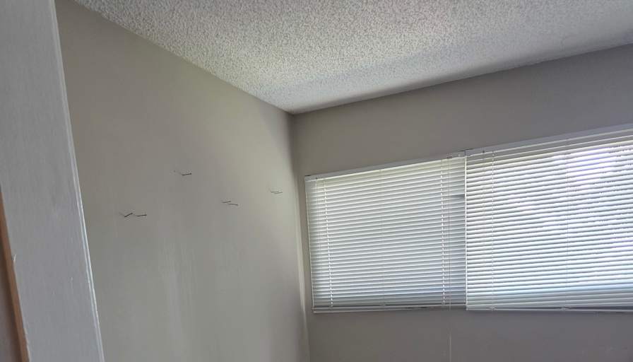 Johnson's room