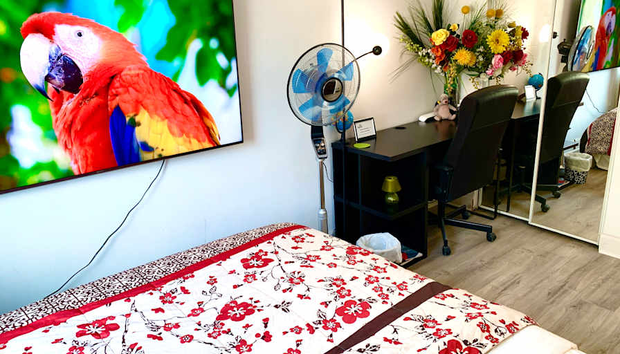 AZ's room