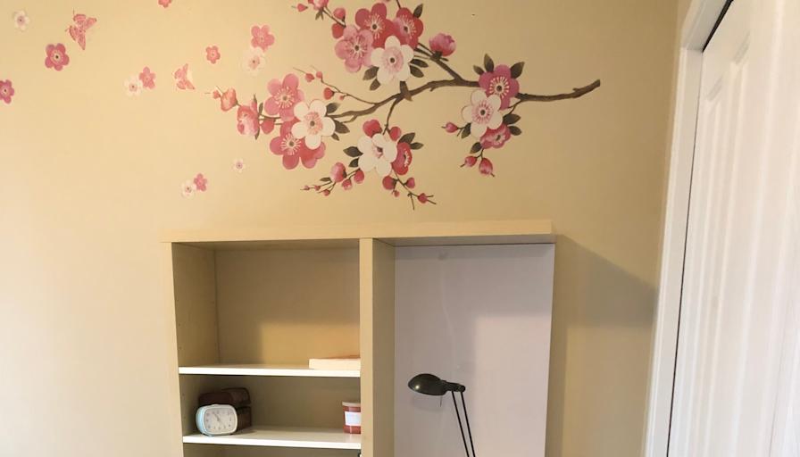 Natalia Ivanova's room