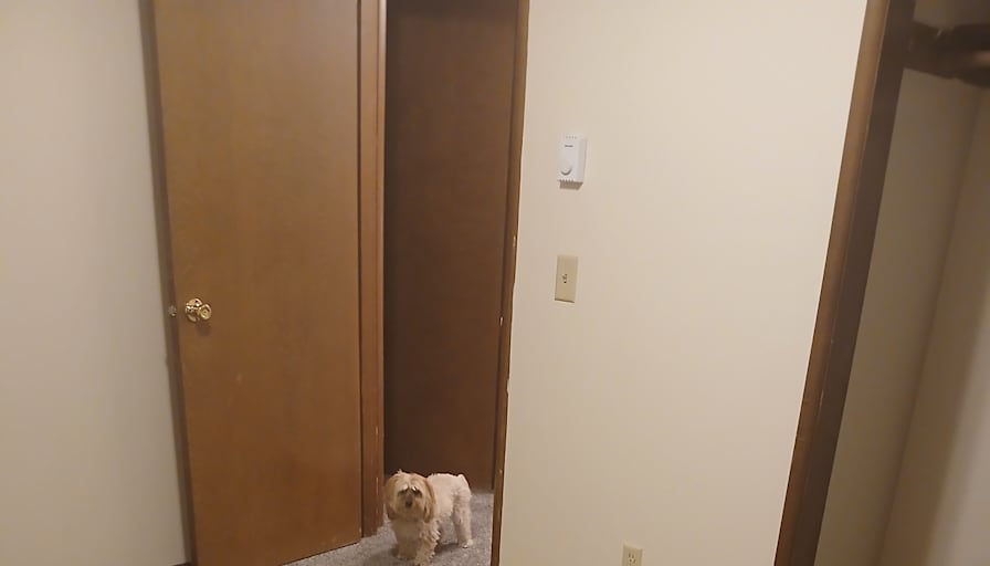 Lois's room