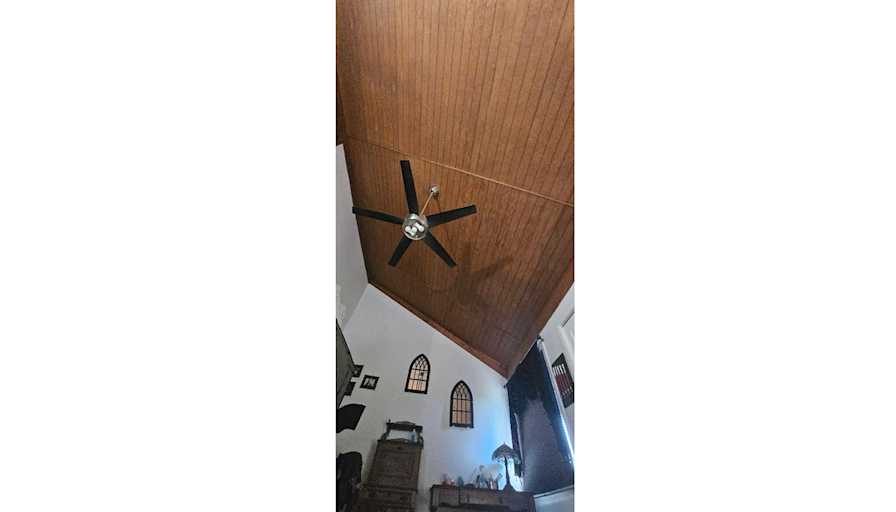 Angela V Woodhull's room