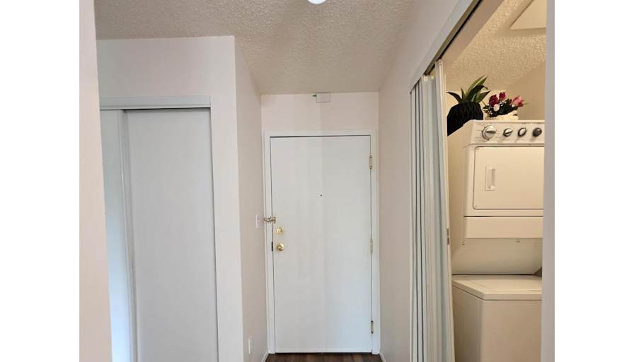 Todd's room