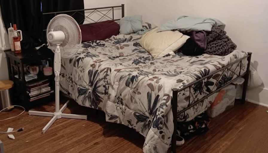 Aley's room