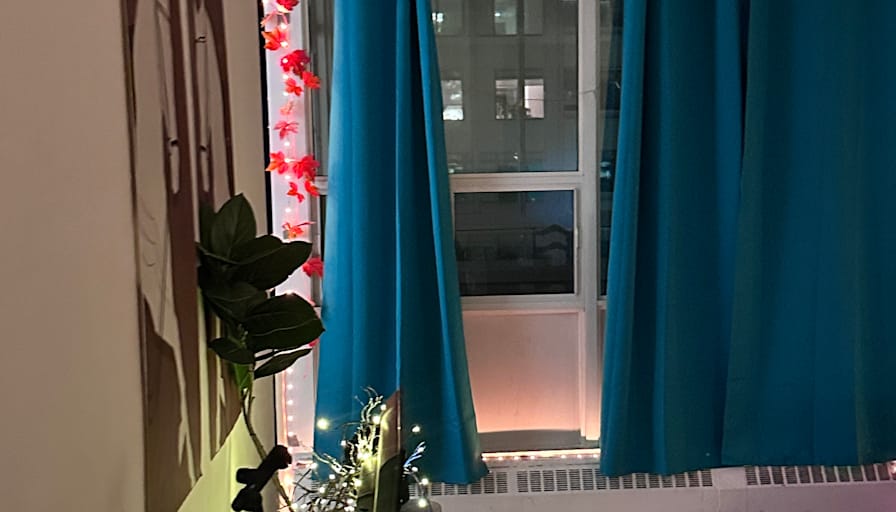 Mishmi's room