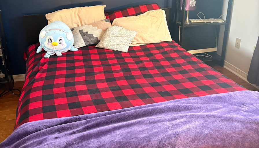 Maria's room