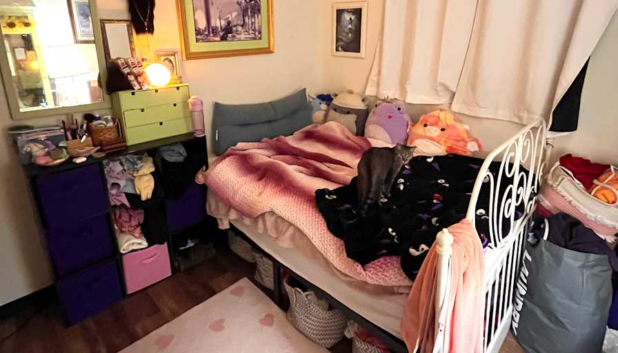 Raine's room