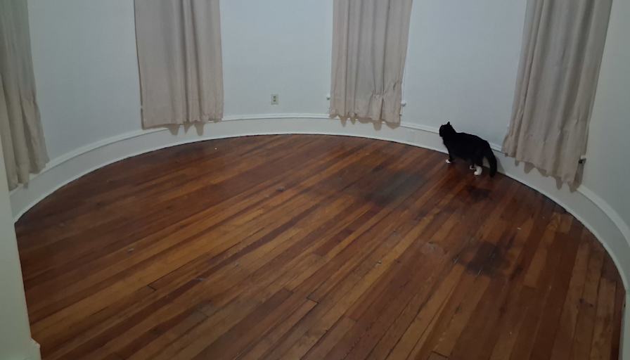 Caitlin's room