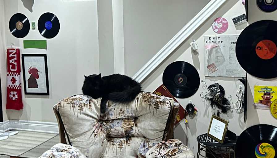 Abigail's room