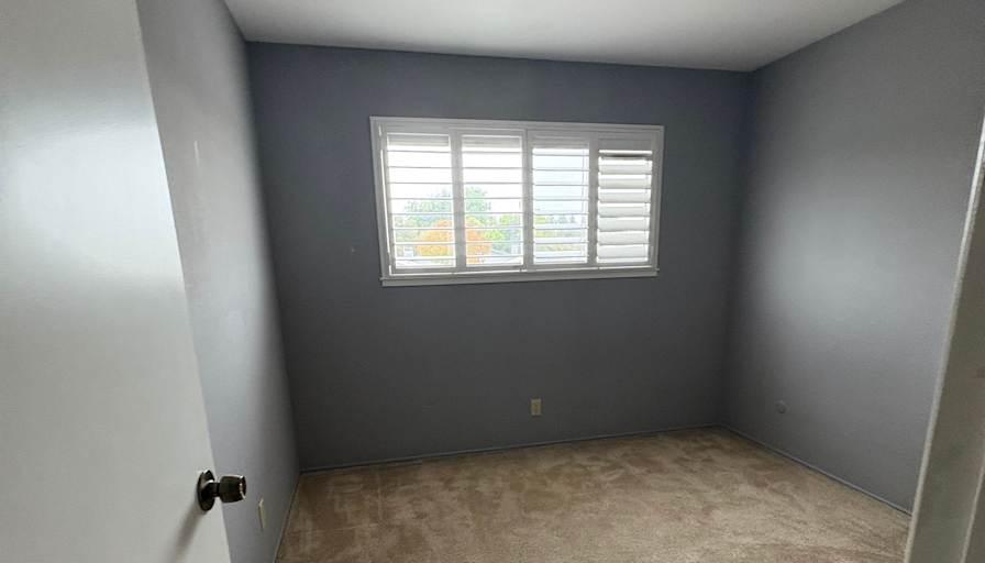 Cintia's room