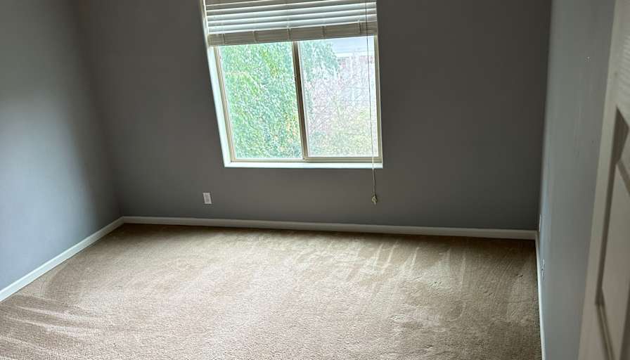 Zanthe's room