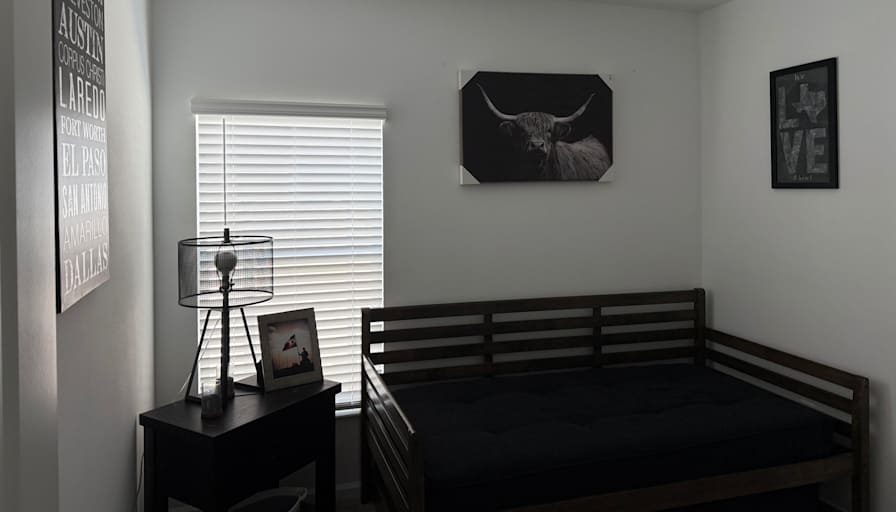 Rafael's room