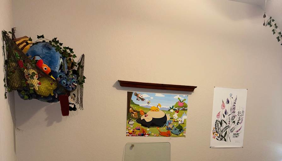 Daniella's room