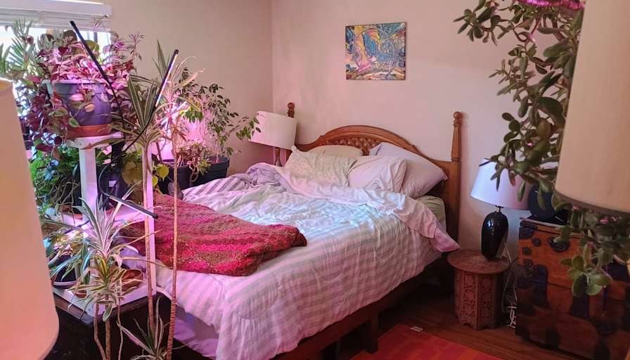 Joao's room