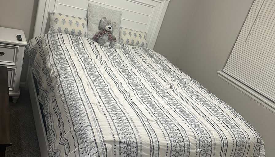 Ayanaa's room