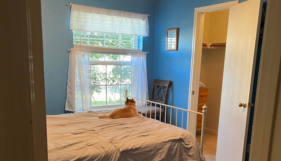 Jeff and Cara's room