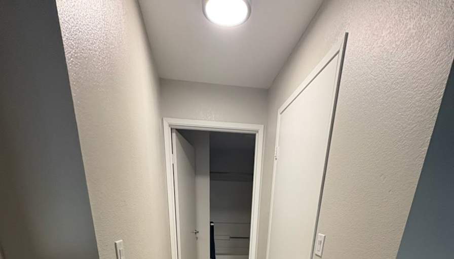 Rose Meadows's room