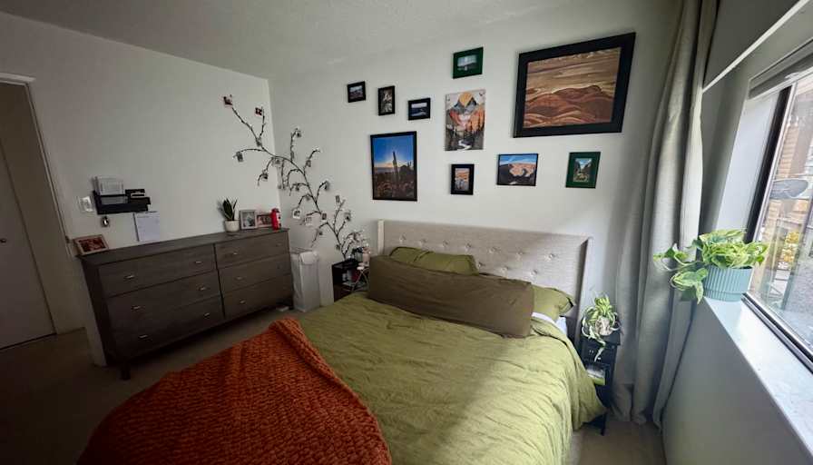 Brooke's room