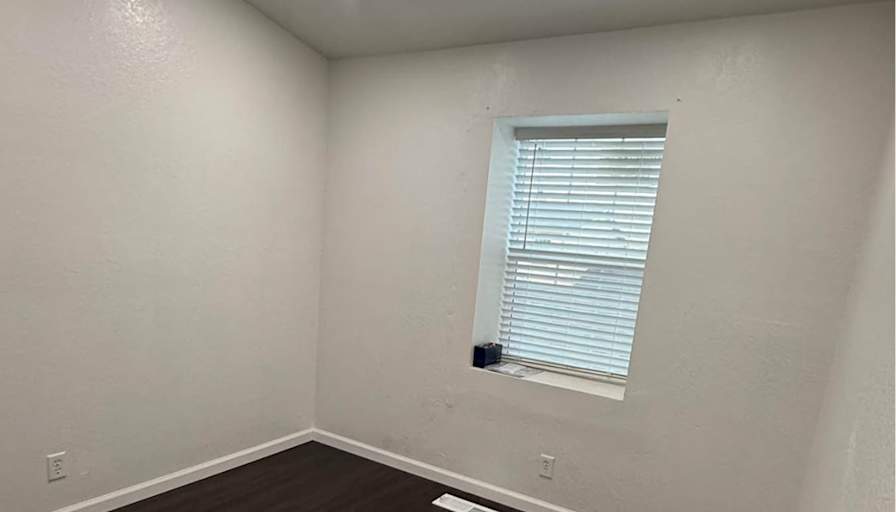 Cyn's room