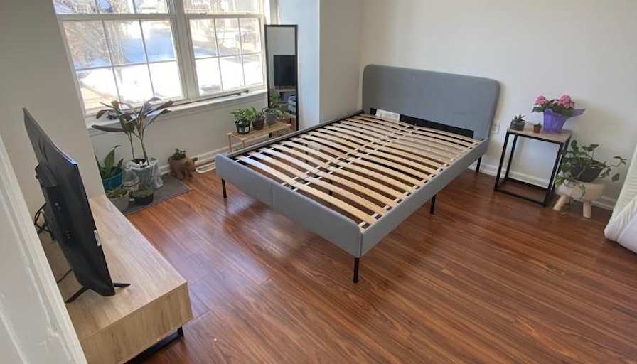 Amy's room