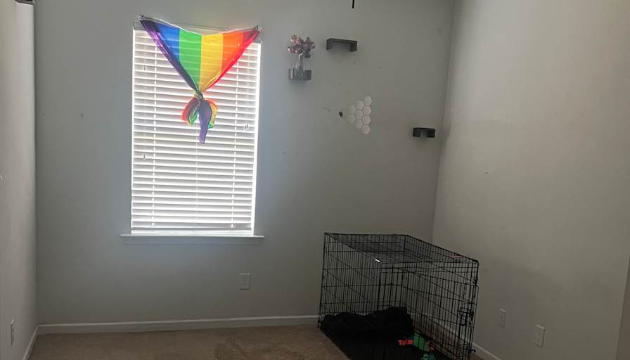 Liz's room