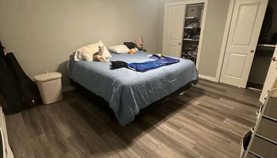 Ericka Rojas's room