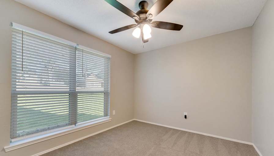 Shane's room