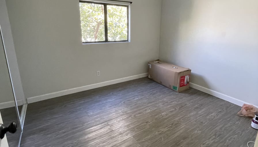 Teresa's room